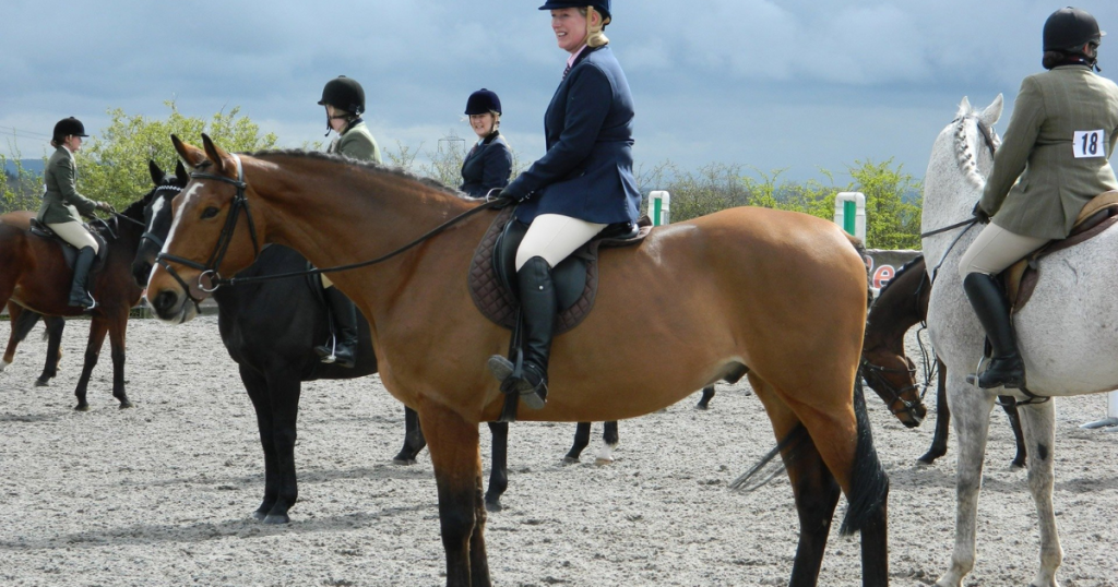 5 types of English riding saddles