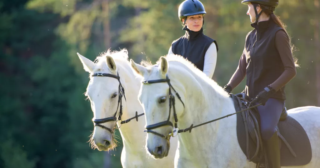 Building Your Confidence in Horse Riding