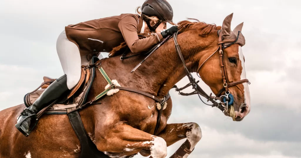 Choosing the Right Bit for Your Horse: A Beginner’s Guide to Horse Bits for Comfortable Riding