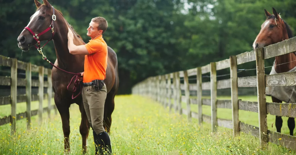 Introduction to Basic Riding Commands: A Beginner’s Guide