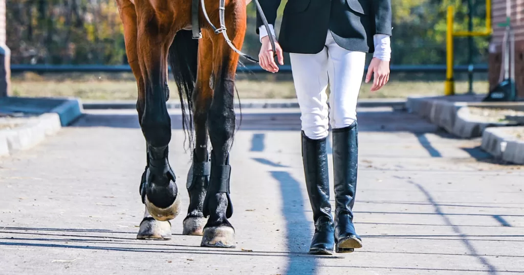 Essential Show Day Packing Checklist for Beginner Equestrians: Stay Organized and Ready for Competition