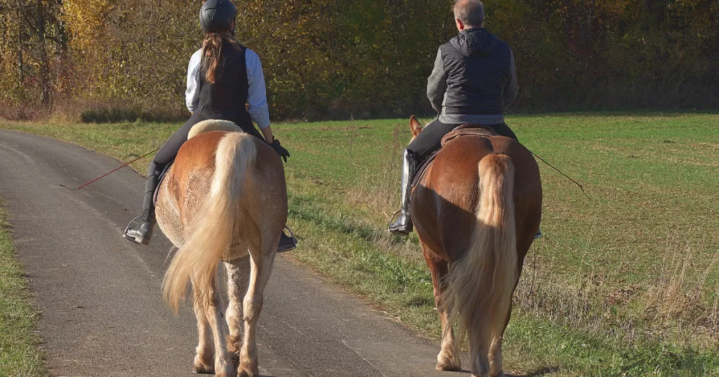 The Fitness Benefits of Horse Riding