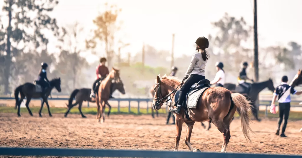 Groundwork Exercises for Horses: Building a Solid Foundation